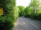 Looking south on Mill Lane.
Small trees on both sides.
Part of yellow sign visible on the left.