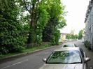 Looking south on Mill Lane towards the A4 Bath Road.
Large trees on the left.
Houses on the right.