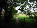 Footpath with trees on the left and field on the right.