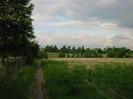 Footpath with trees on the left and scrubby field on the right.
Trees in the distance.