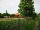 Footpath with low chainlink fence on left.
Gas holder in the distance.
Small Horse Chestnut tree.