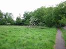 Footpath with grassy field on the left and trees in the distance.