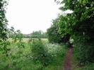 Footpath with scrubby field on left.
Horse Chestnut tree on right.