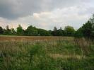 Scrubby field, with earth bank of new flood relief channel beyond.
Trees and bushes.