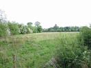 Scrubby field with line of bushes on the left.
Wire fence in the foreground.