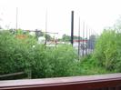 Footbridge railing with high chainlink fence beyond.
Young trees.