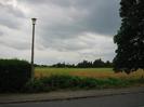 Field on far side of road.
Street light.
Hedge on left.
Tree on right.