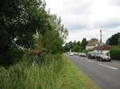 Road with parked cars on the right.
Grass verge and trees on the left.
Houses on right behind parked cars.
Telephone pole.