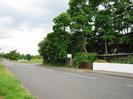 Road with grass verge on left.
Footway and low white wall on right.
Group of trees.
Estate-agent's sign.
Junction with Station Road visible in the distance, with street light and traffic-calming gate feature just beyond.