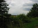 Hedge with trees.
Field beyond, with more trees in the distance.