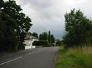 Road with tall dark trees and group of houses on left
Grass verge and trees on right.