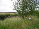 Grass verge with hedge and trees.
Road sign for Boundary Road.