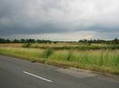 Road with grass verge, hedge, and grassy field.
Trees in the distance.