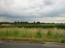 Road with grass verge, hedge, and grassy field.
Trees and farm buildings in the distance.
Water-company markers in grass verge.