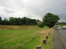 Grassy area with trees on the left.
Row of low posts.
Footway and road with cars on right.