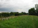Rough grass with road on left.
Overgrown chainlink fence on far side of road.
Dark trees on right.