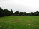 Rough grass area with trees and club-huts in the distance.