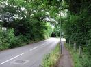 Looking south on Hitcham Road.
Trees on both sides.
Sign on left advertising Powerbell Garage almost lost in bushes.
Traffic lights at railway bridge in the distance.
Streetlight pole and low fenceposts.