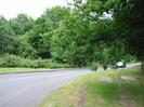 The eastern end of Institute Road.
Large trees on both sides.