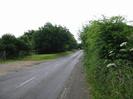 Looking east on Institute Road.
Gravel and grass verge on left with trees behind.
Tarmac pavement on right with bushes and wild flowers.