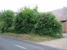 Grass verge with hedge of small trees.
Building behind hedge is built of red brick, with a reddish roof.