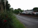 Looking east on Institute Road.
Decorative planting on the left.
Car showrooms and forecourt on the right.