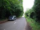 Looking north on Station Road.
Pavement and large Horse Chestnut trees on left.
Lower trees on the right.
Street light in grass verge on right.