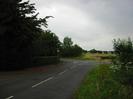 The northern end of Station Road.
Dark trees on the left.
Give Way sign at junction with Boundary Road.
Grass verge on right with wild flowers.
Road signs and street-light at junction.