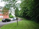 Hillmead Court.
Flats on the left.
Shaped trees between flats and road.
Parked cars.
Grass and trees on the right.