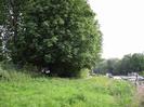 Looking south along the towpath from Maidenhead Bridge.
Large chestnut trees on left.
Boats on River Thames on right.
Railway bridge visible in the distance.
Man reading on bench seat.