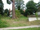 Thames towpath.
Grassy area with large trees.
Houses on River Road in the background.
Part of Maidenhead Rowing Club building on the right.