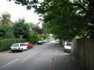 Looking south on River Road.
Houses on left with trees and hedges along road.
Parked cars.
Large trees overhanging fence on right.