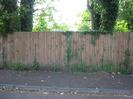 Fence along footway.
Large trees behind fence, some with ivy.