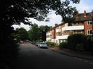 Looking north on River Road.
Trees overhanging from the left.
People and parked cars in the road.
River Court flats on the right.
