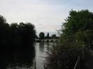 River Thames and Maidenhead Bridge.
Trees on Guards Club Island on left.
Trees along River Road on the right.