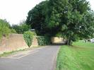 Looking south on River Road.
High sandy brick wall on left.
Grassy area on right with large trees.