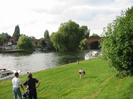 River Thames with railway bridge in the distance.
Boats moored alongside grassy bank.