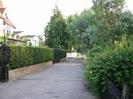 Looking south on River Road.
Houses on left behind high hedge and wrought-iron gates.
Low fence on right with bushes overhanging.
