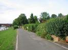 Looking north on River Road.
River Thames on left with moored boats and view through mainline railway bridge to Maidenhead Bridge beyond.
Grassy bank between river and road.
Walls with creepers and ivy on right.