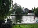 River Thames with moored boats.
Houses set back on far side of river.
Trees on left overhanging grassy bank.