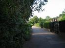 Looking north on River Road.
Trees on left.
Hedges and railings in front of houses on right.