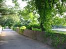 Looking south on River Road.
Low wooden fence on right with trees and view of River Thames beyond.