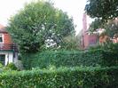 Pine Lodge and Fairview.
Hedges and trees between the two houses.