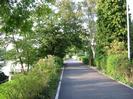 Looking north on River Road.
River Thames on left.
Garden with grass, roses, and trees.
Hedges and trees on right of road.
Flagpole on right.