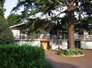 Olympia House.
Long modern-style house with low-pitch roof.
White at ground-floor level with large windows and orange front door.
Timber-clad at first-floor level.
Brick driveway with large Cedar tree.