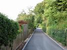 Looking north on River Road.
Wooden fence with hedge on left.
Wire fence with hedge and trees on right.