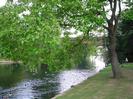 River Thames between Guards Club Island and the Maidenhead bank.
Railway bridge just visible through the trees.
