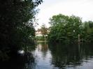 River Thames with trees on both sides.
River Court flats visible in the distance.