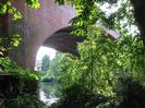 The western arch of the railway bridge, seen through sunlit trees.