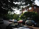 Road with parked cars and overhanging trees.
River Court flats on the right.